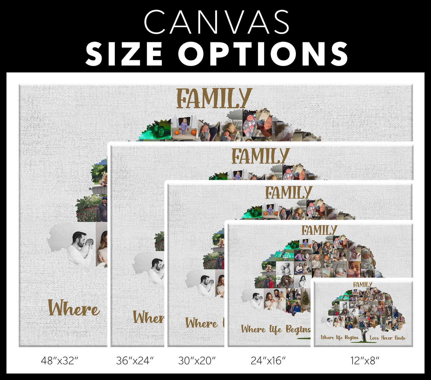 GF8324 Family Tree Collage