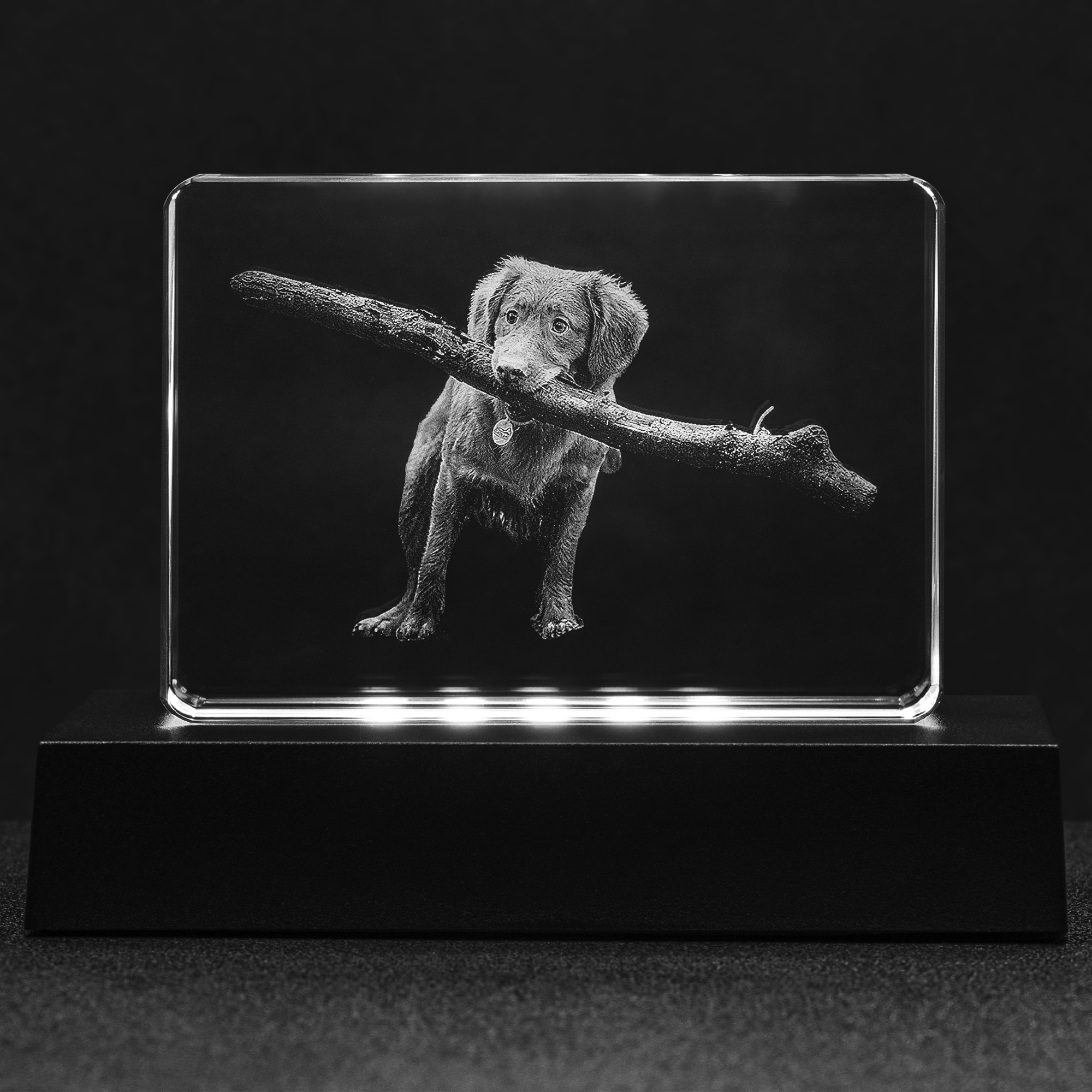 Selected Variant Image