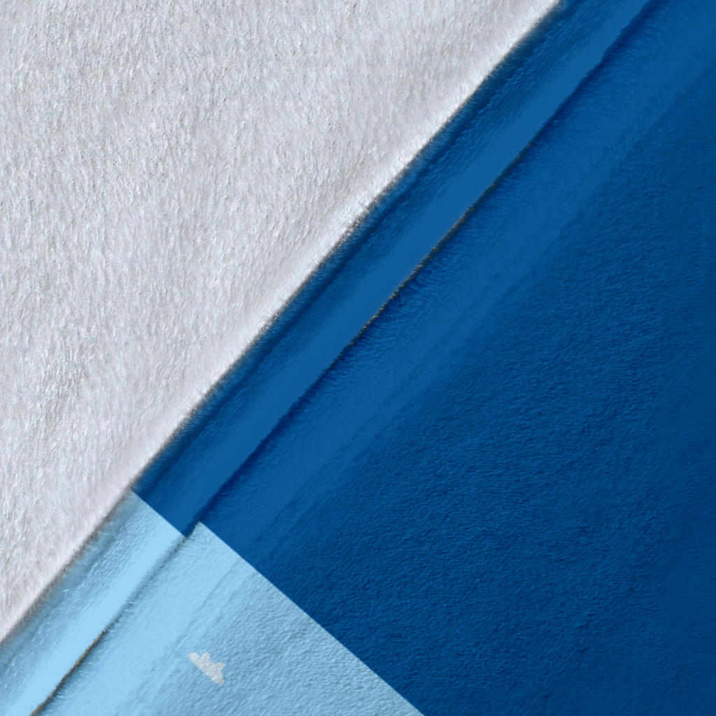 Personalized Name Police, Ambulance, Firefighter, Taxi, Bus Blanket for Kids, Custom Blanket for Boys & Girls