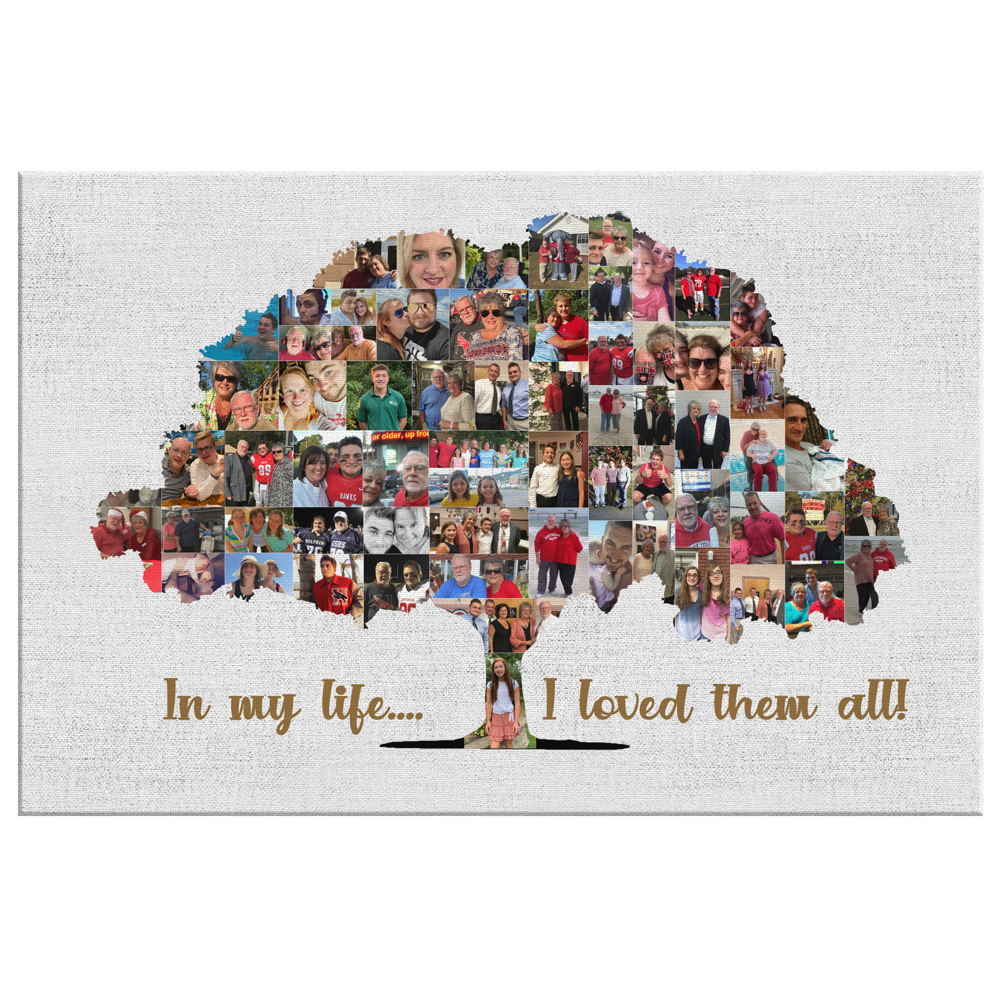 Selected Variant Image