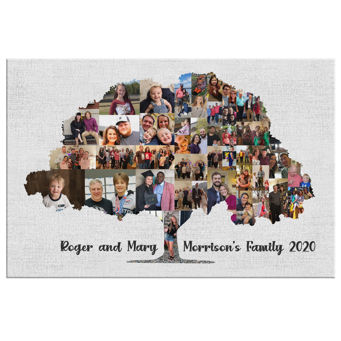GF8097 Family Tree Collage