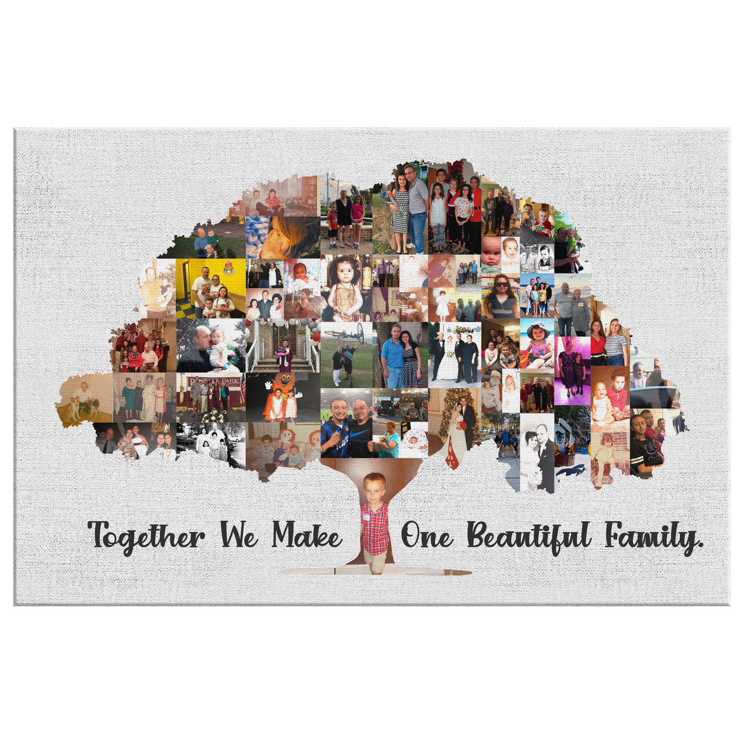 GF7820 Family Tree Collage