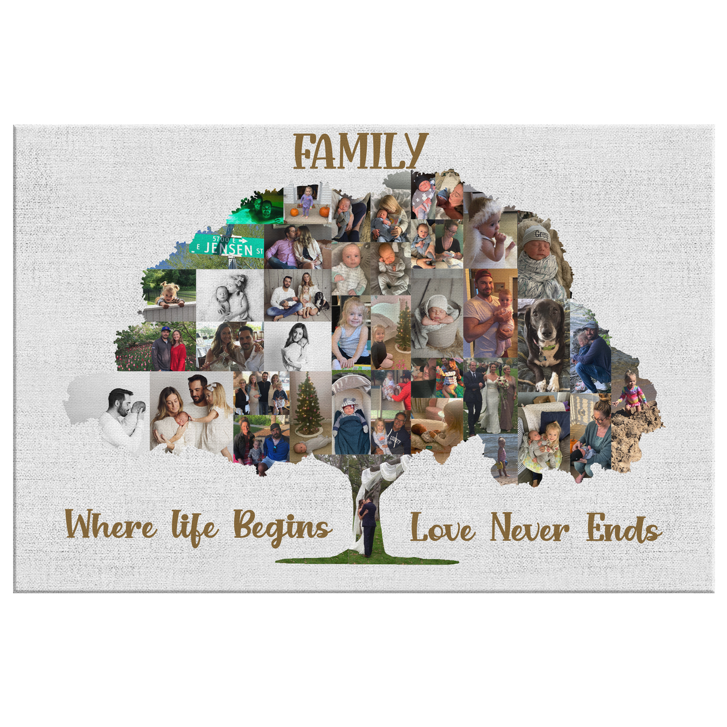 GF8324 Family Tree Collage